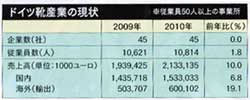 ドイツ靴産業の現状グラフ