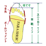 スニーカーサイズと革靴サイズの違いの図