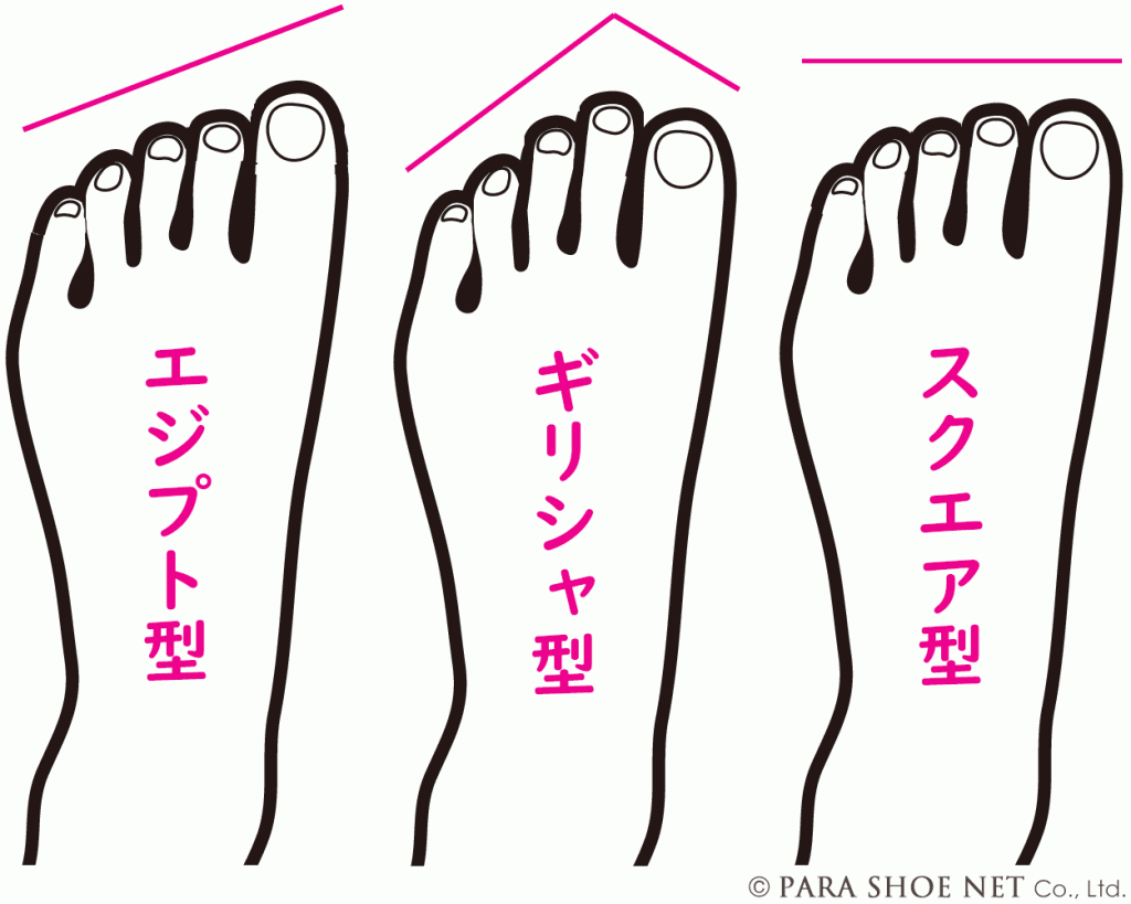 足のタイプ（エジプト型、ギリシャ型、スクエア型）