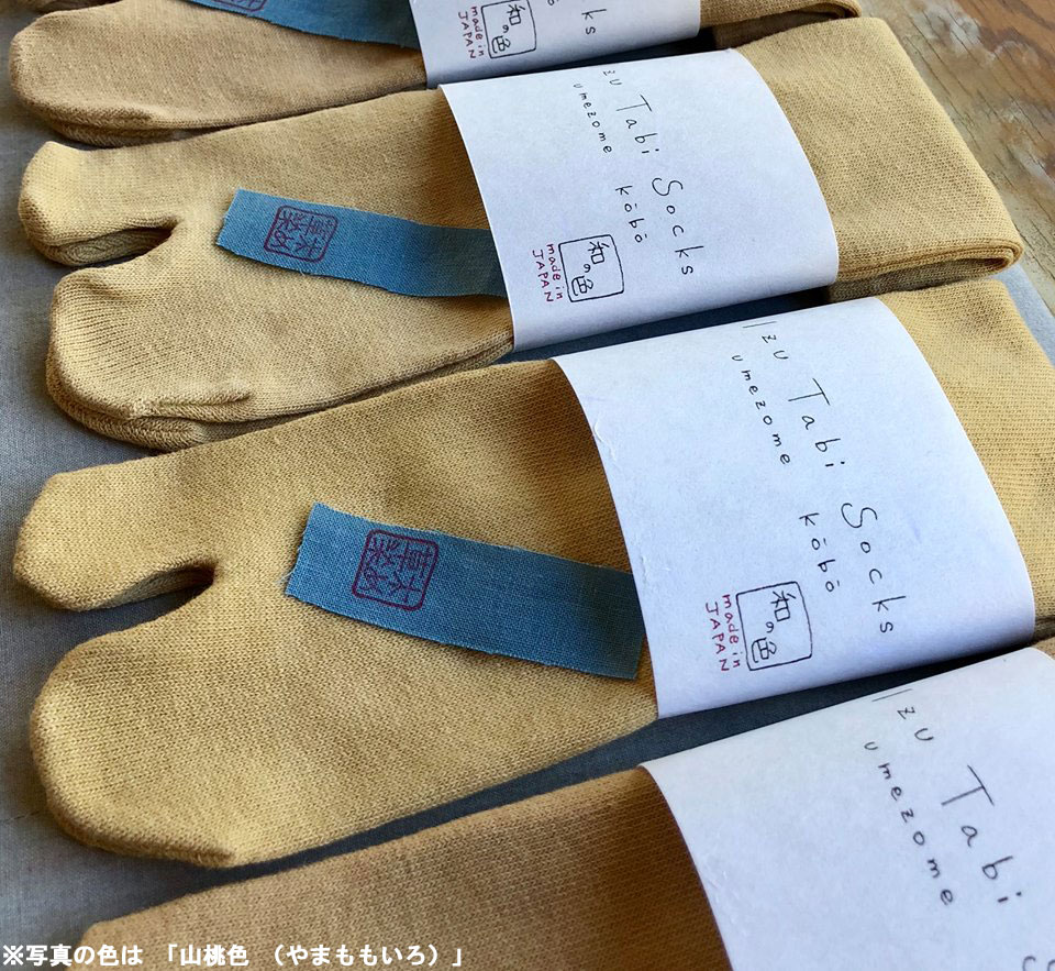 Izu tabi socks（伊豆足袋ソックス）草木染めの足袋型靴下 サイズ24 