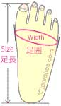 足の革靴サイズ（足長）とワイズ（足囲）の図