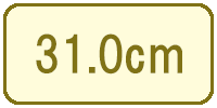 31.0cm（31cm／31センチ）