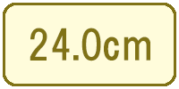 24.0cm（24cm／24センチ）