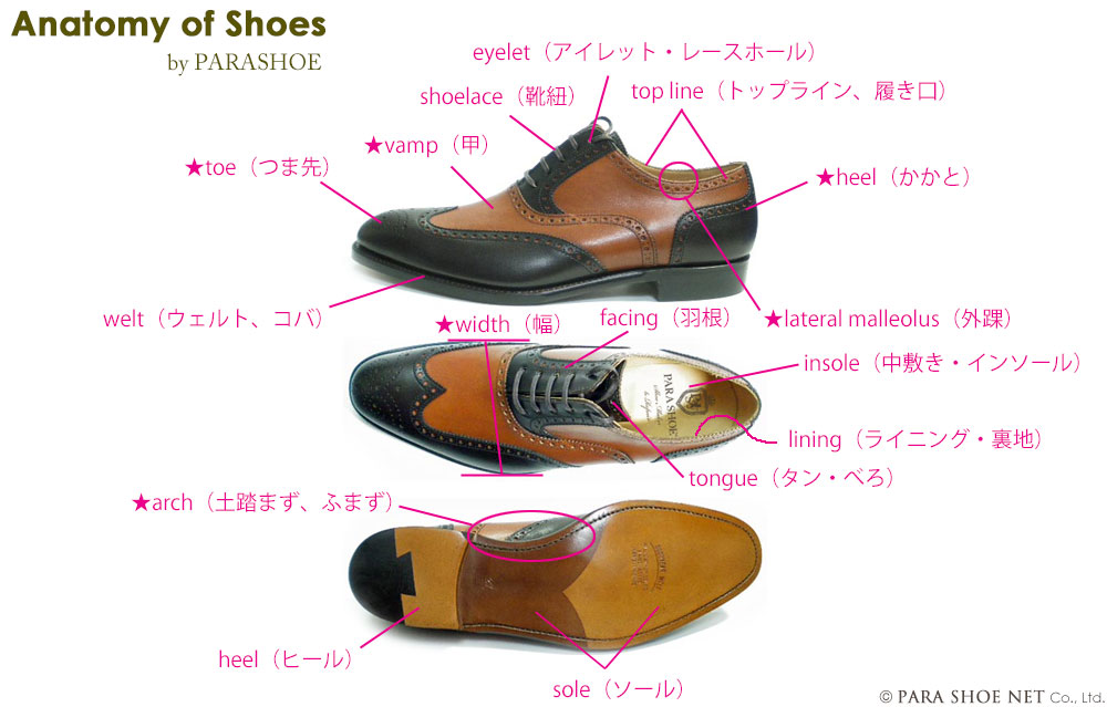 『Anatomy of shoes』Names of parts of shoe／靴の部位の名称
