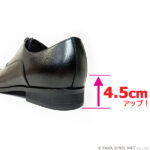 PS-H1110-BLK